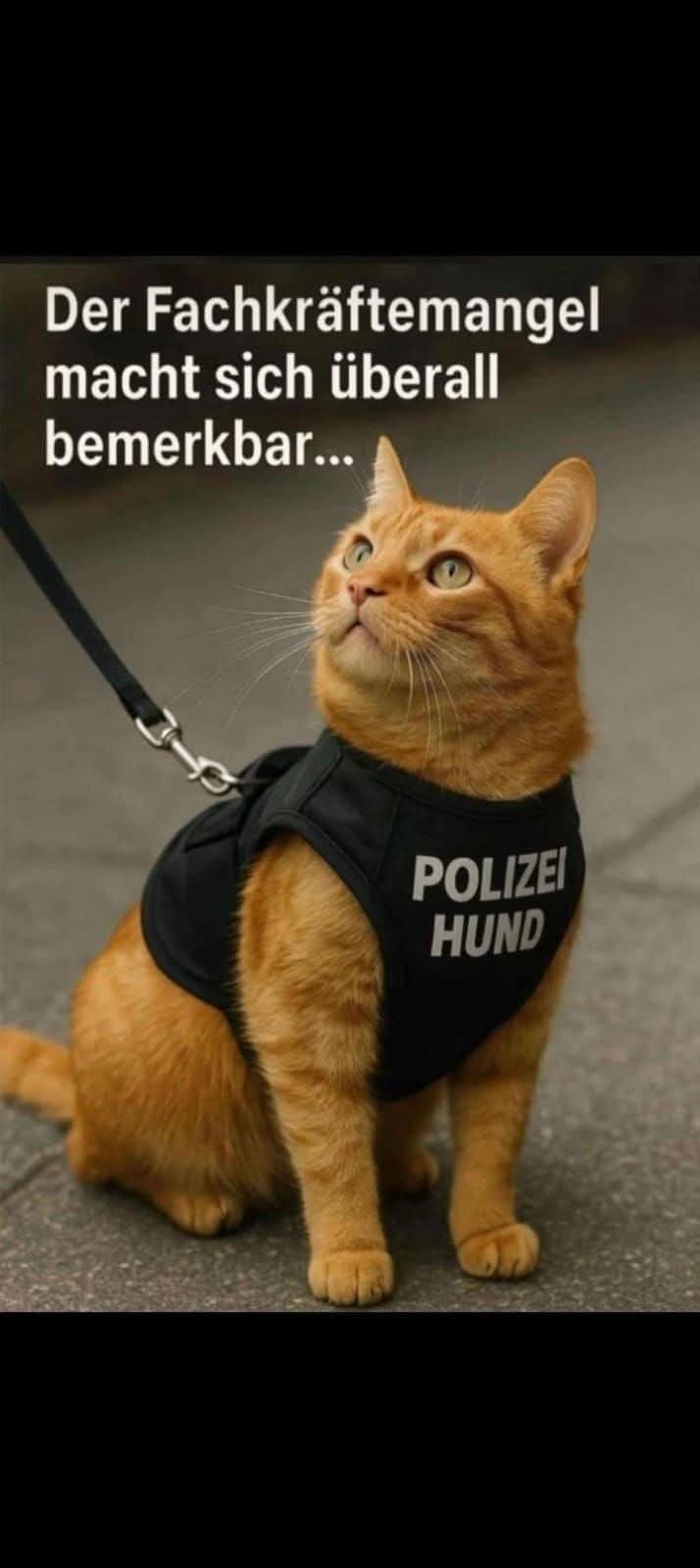 der Fachkräftemangel - brak specjalistów