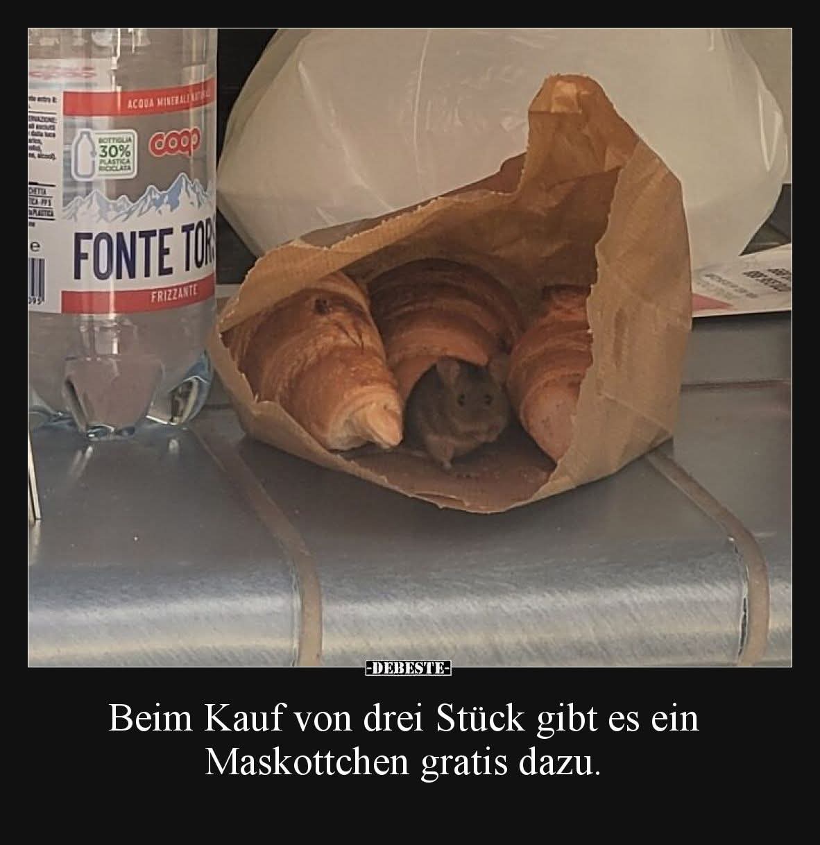 das Maskottchen - maskotka