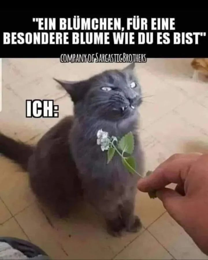 das Blümchen - kwiatek, kwiatuszek