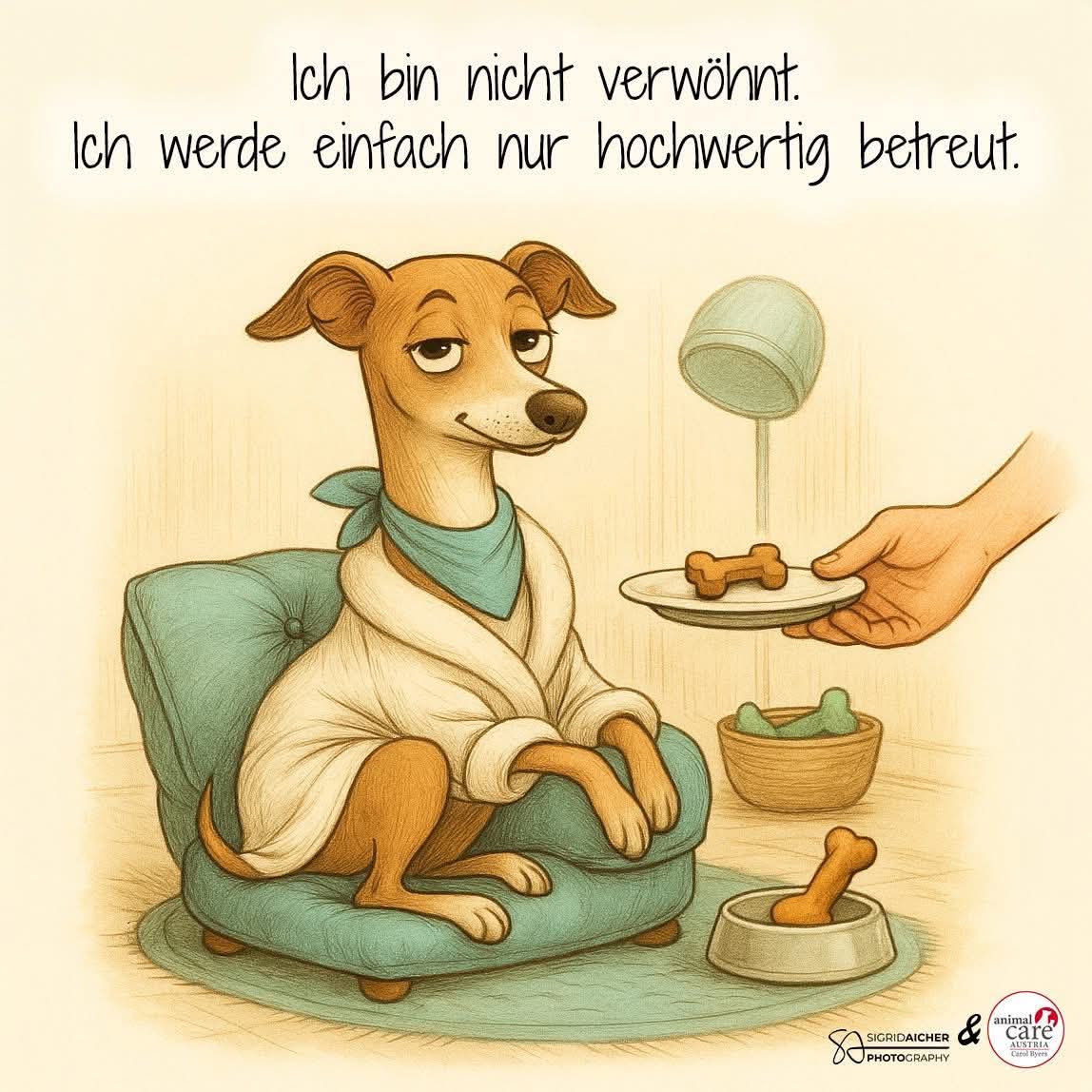 hochwertig - wartościowy, wysoko wartościowy