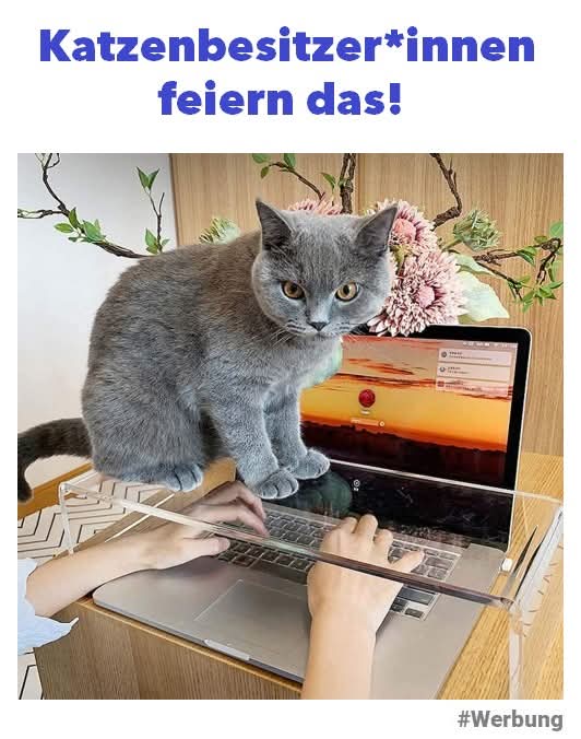 innen