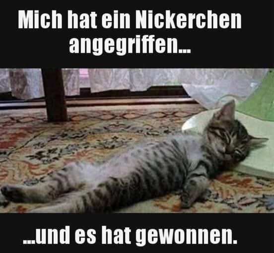 Nickerchen