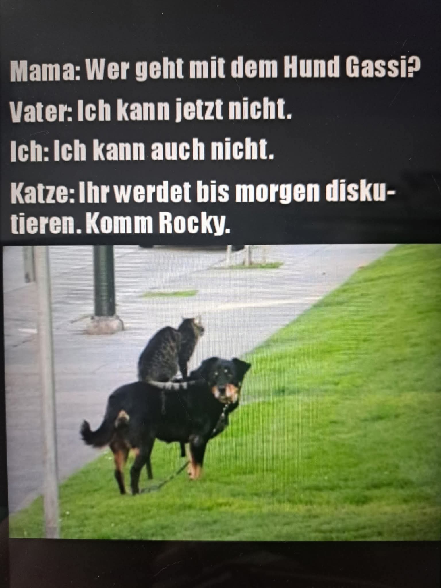 diskutieren