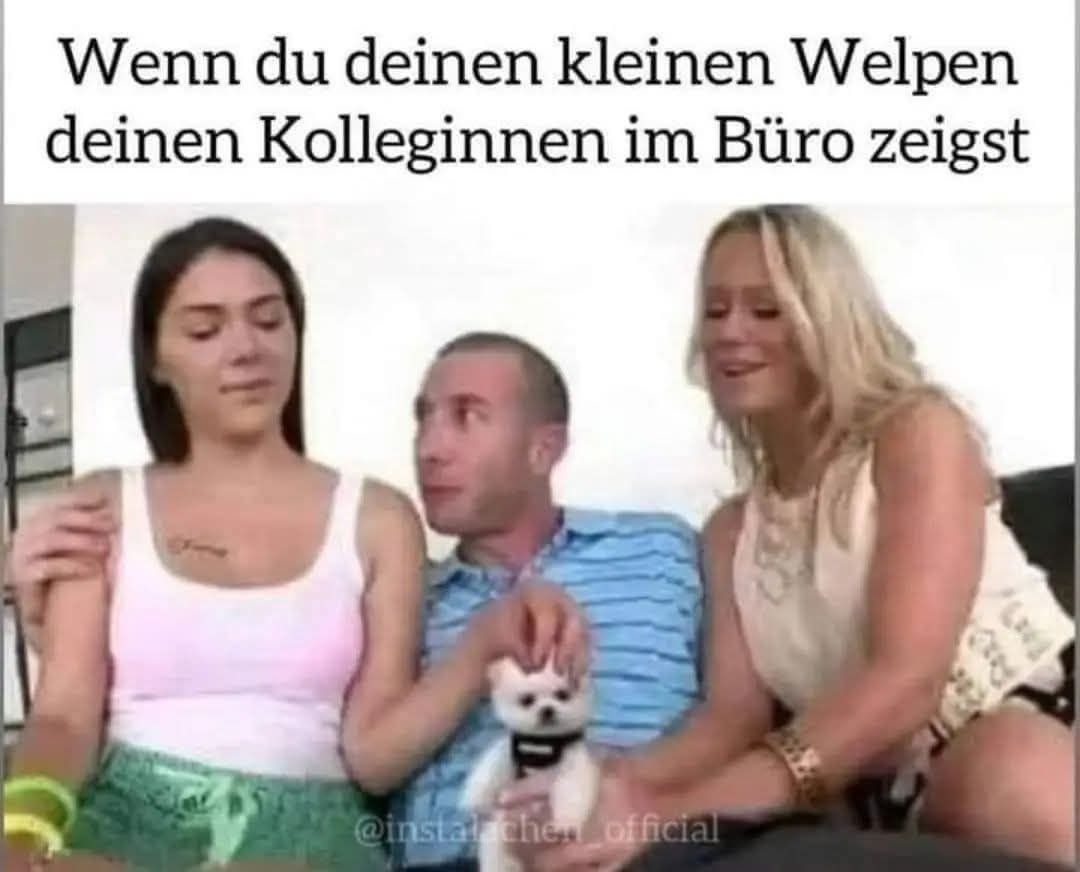 die Kollegin - koleżanka