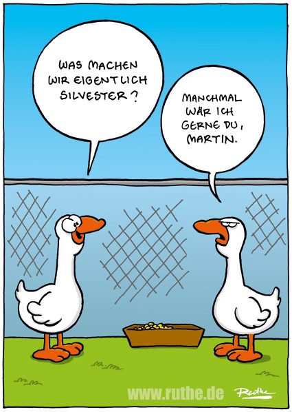 der/das Silvester - Sylwester