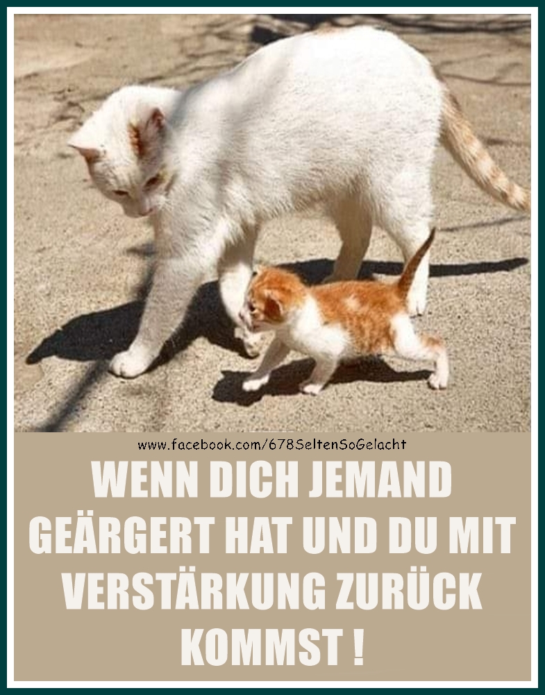die Verstärkung - wzmocnienie, powiększenie, posiłki