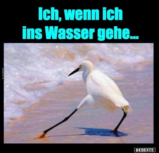 Wasser