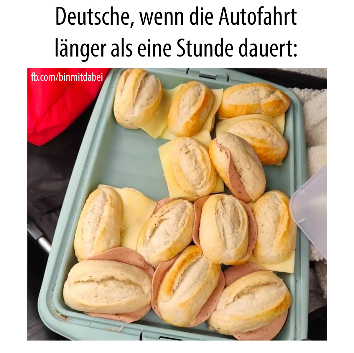die Autofahrt - jazda samochodem