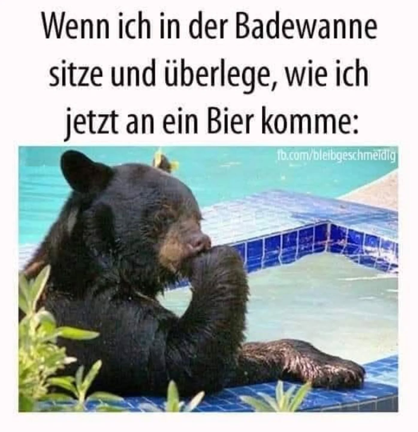 die Badewanne - wanna