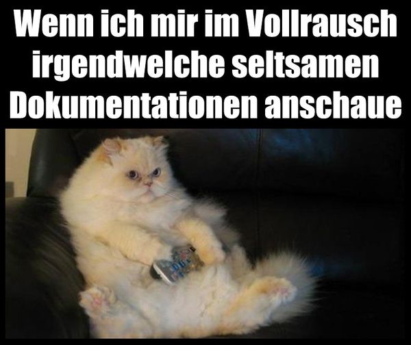 die Dokumentation - dokumentacja