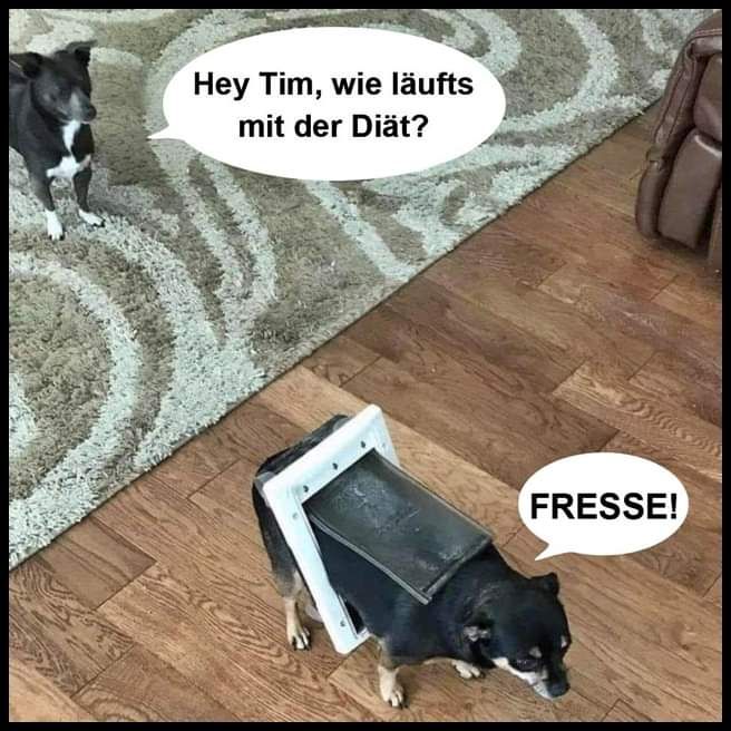 fresse