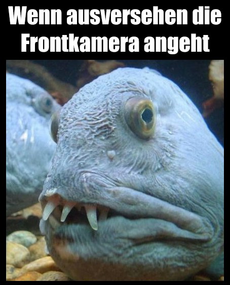 die Front - front, fasada, elewacja