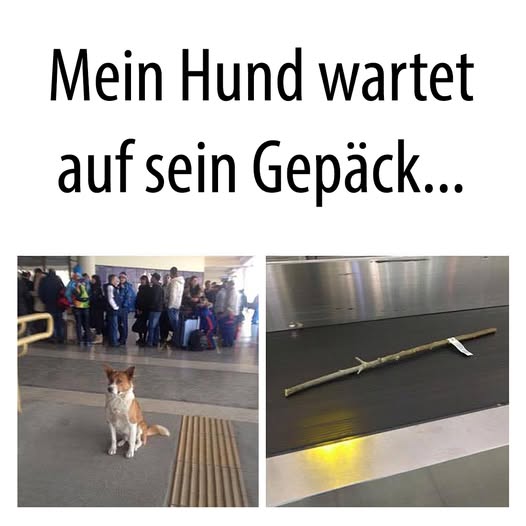 das Gepäck - bagaż