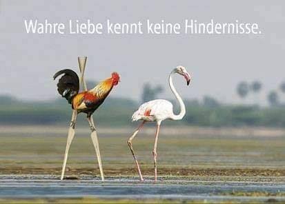 das Hindernis - przeszkoda