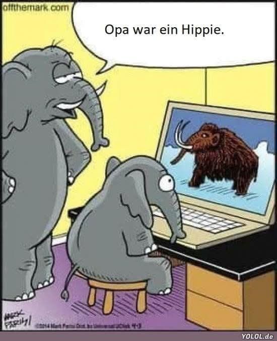 der Hippie - hipis, hipiska