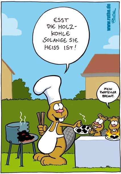 die Holzkohle - węgiel drzewny