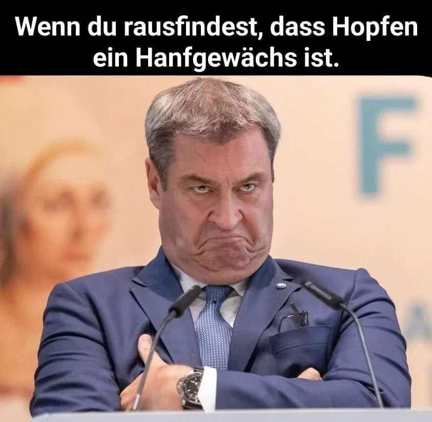 der Hopfen - chmiel