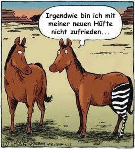die Hüfte - biodro