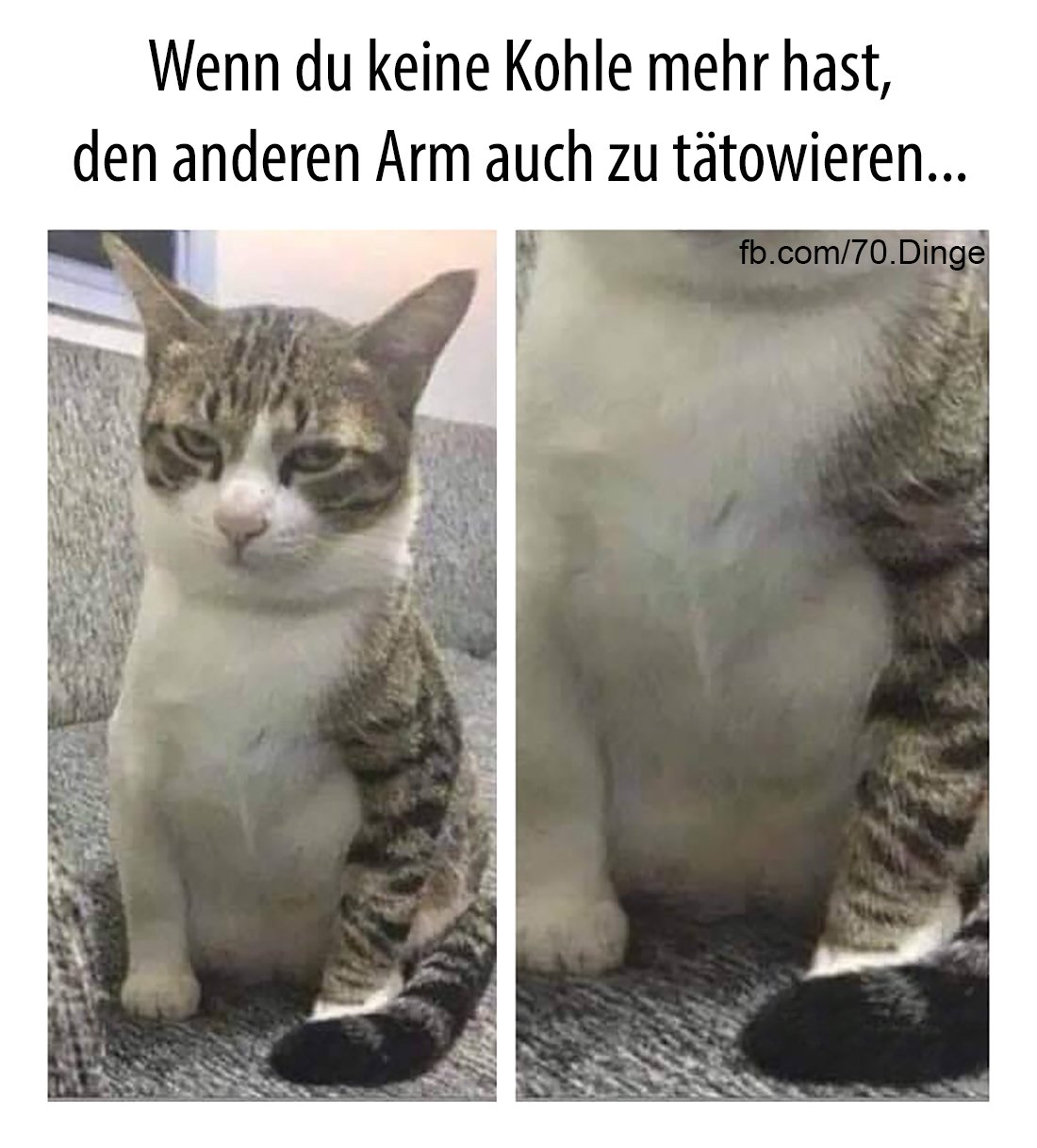 die Kohle - węgiel, szmal, forsa