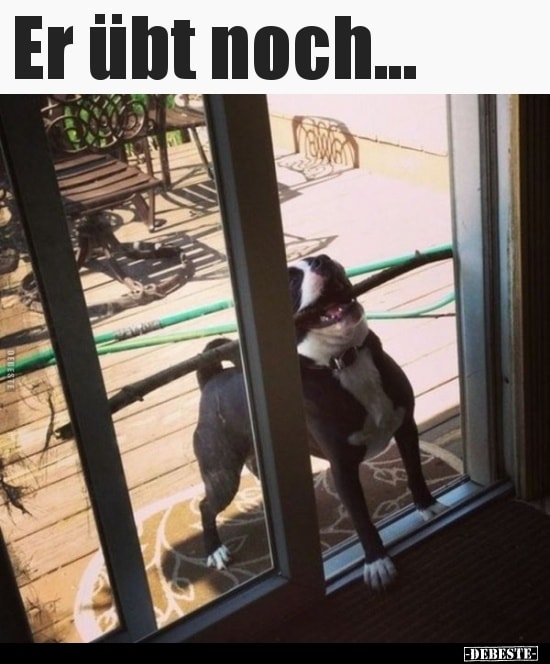 noch