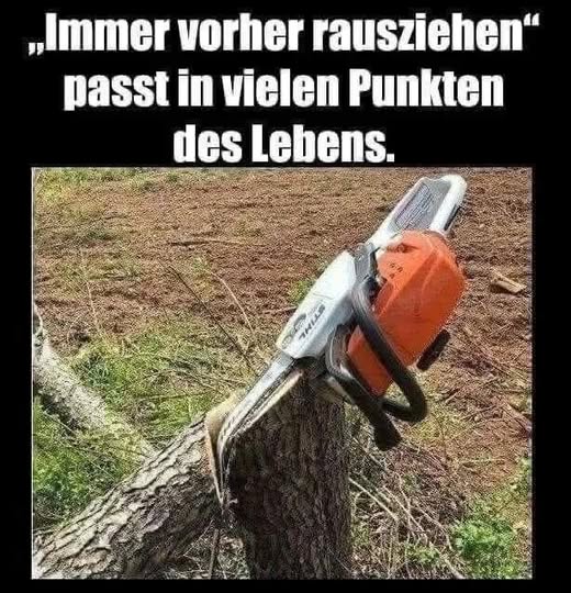 punkt