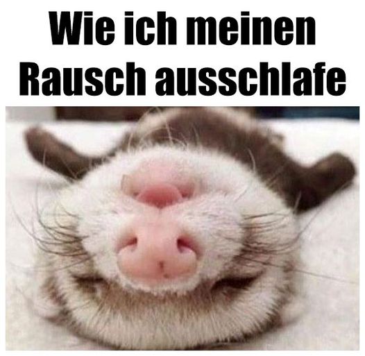 der Rausch - odurzenie, upojenie