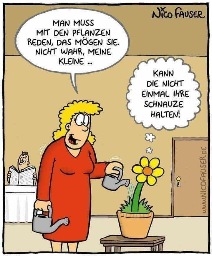 schnauze