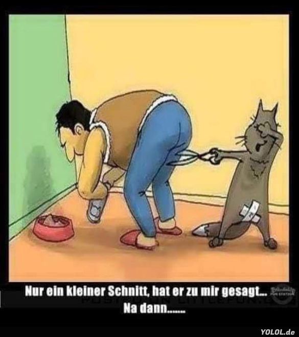 der Schnitt - cięcie, nacięcie, krój, koszenie