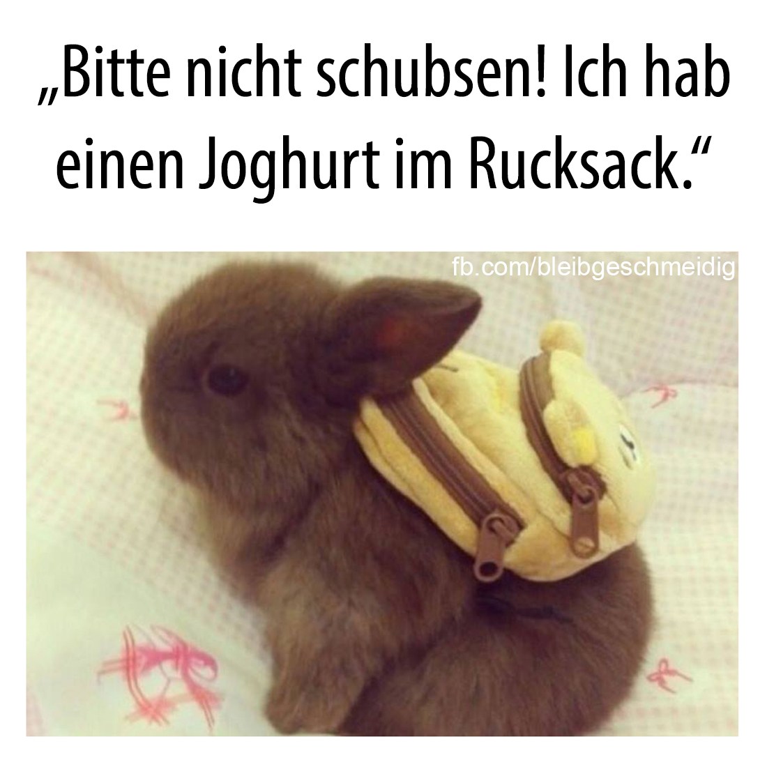 der Rucksack - plecak