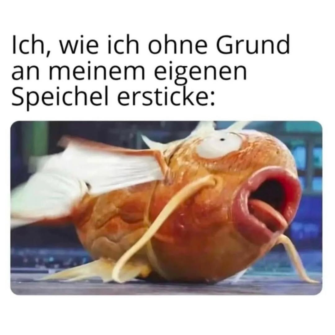 der Speichel - ślina