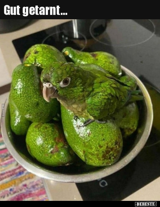 tarnen