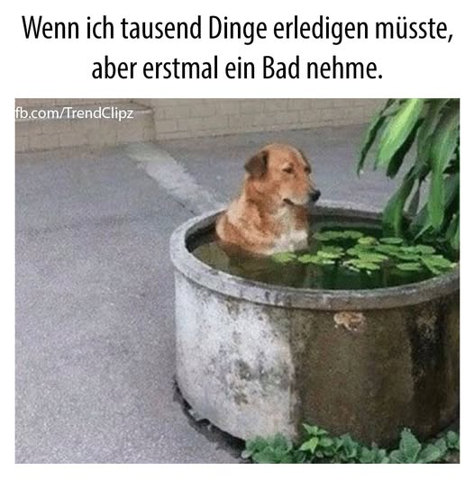 tausend - tysiąc