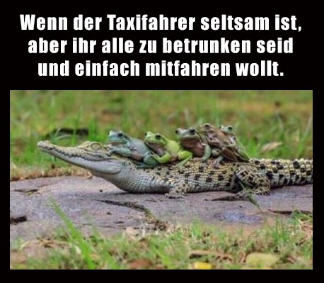 mitfahren - jechać z kimś