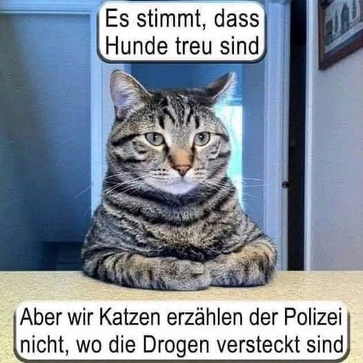 treu - wierny, oddany, wiernie, z oddaniem