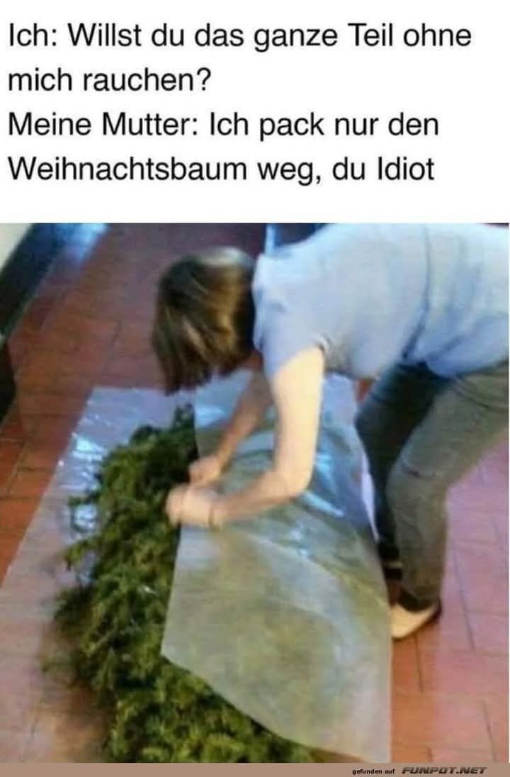 der Weihnachtsbaum - choinka