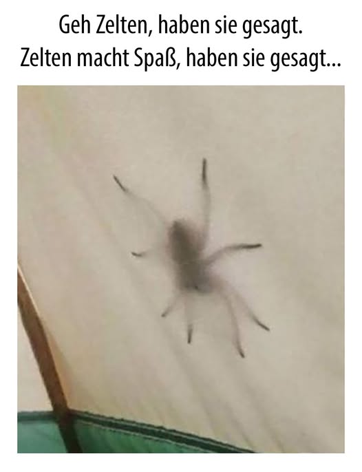 zelten - obozować w namiocie, kempingować