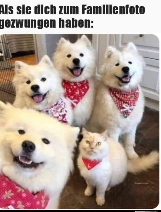 zwingen - zmuszać, przymuszać, zniewalać