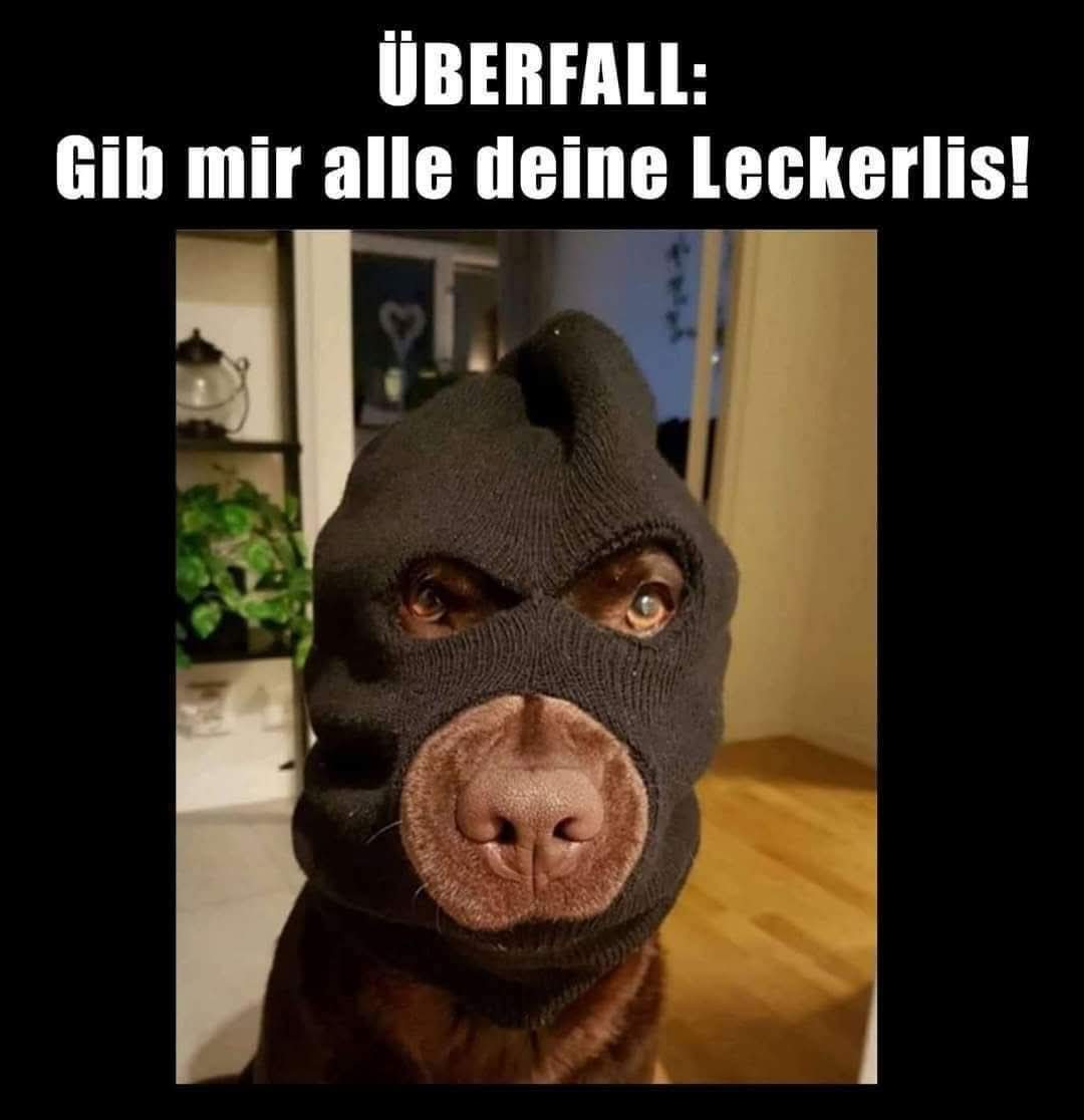 der Überfall - napad, najazd