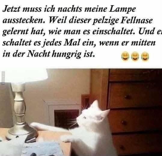 Lampe